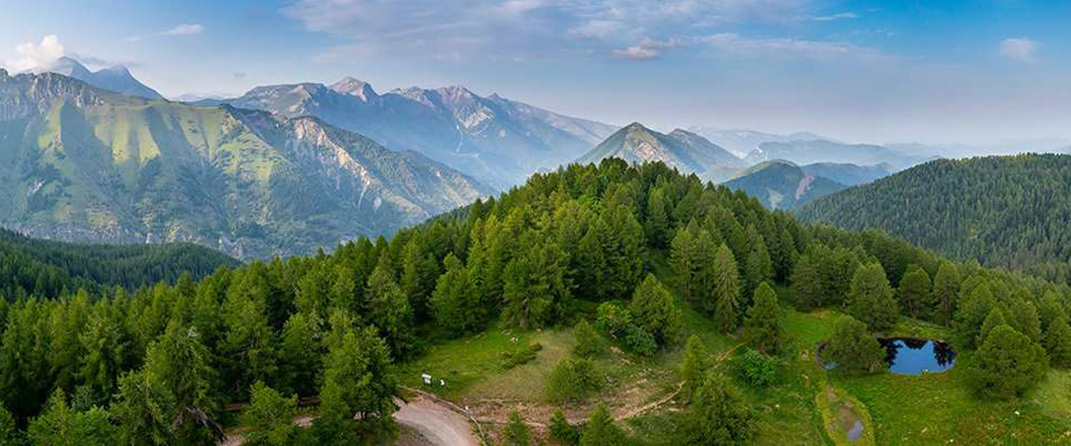 Bosco delle Navette